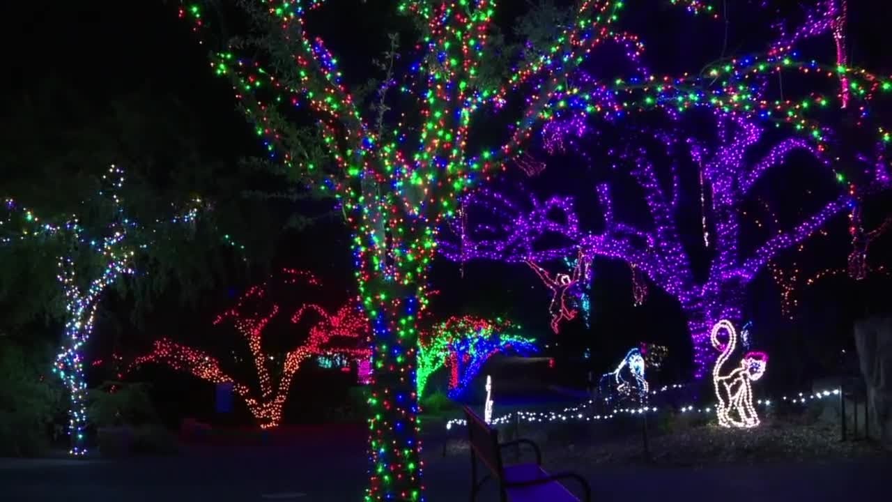 What are you thankful for? ZooLights opens after storm damage repairs
