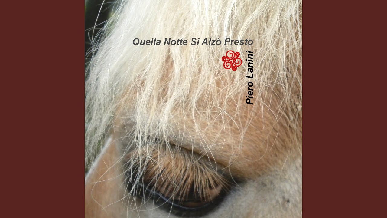 Scalda l'acqua
