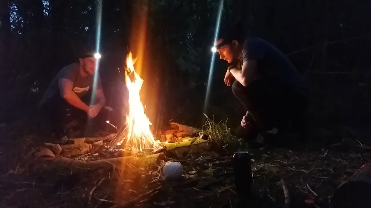 UNE NUIT DANS LA FORÊT !