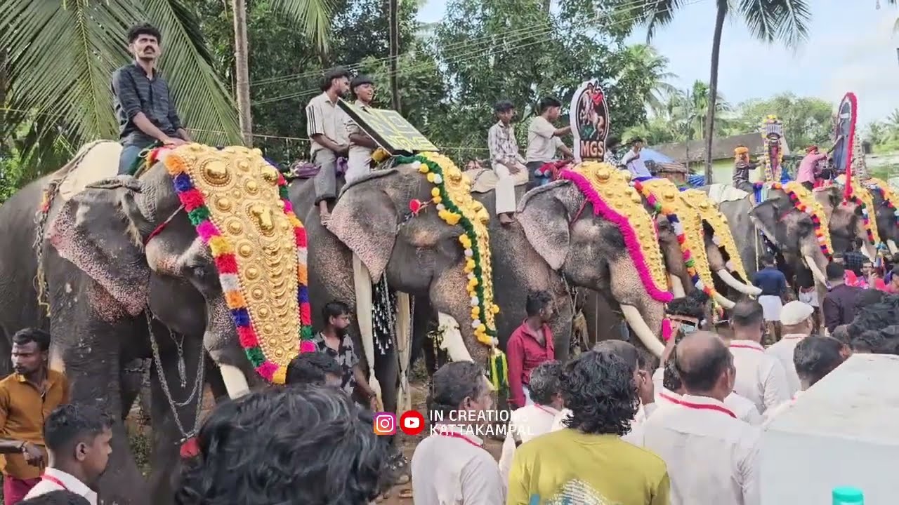 2025 മങ്ങാട് പള്ളി പെരുന്നാൾ കൂട്ടി എഴുന്നള്ളിപ്പ് | Mangad Palli Perunnal 2025