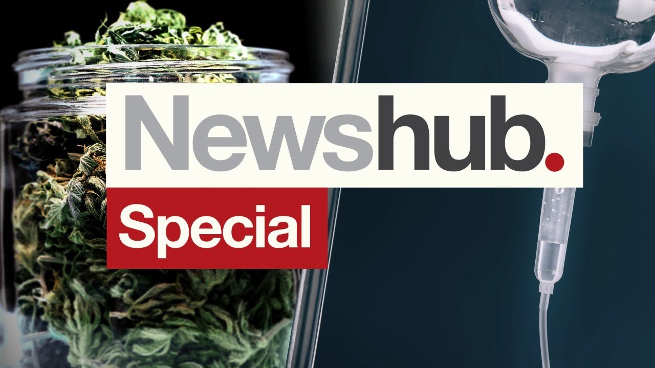 NZ's cannabis, euthanasia referendum results announced | Newshub