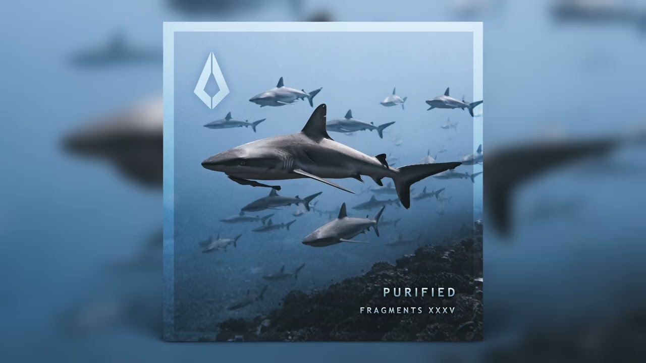 Sezer Uysal x Bolth - Purified