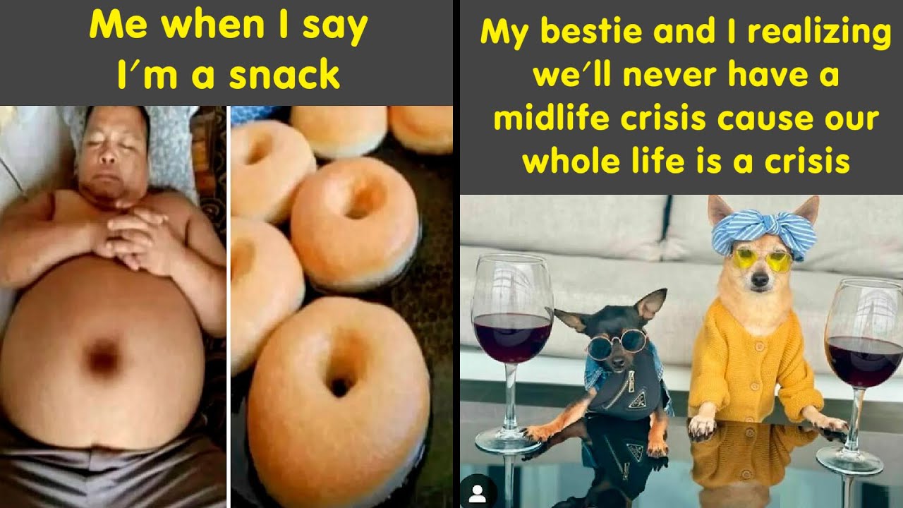 Need A Laugh? These Hilarious Memes Are Here To Save Your Day | Humor Sweet