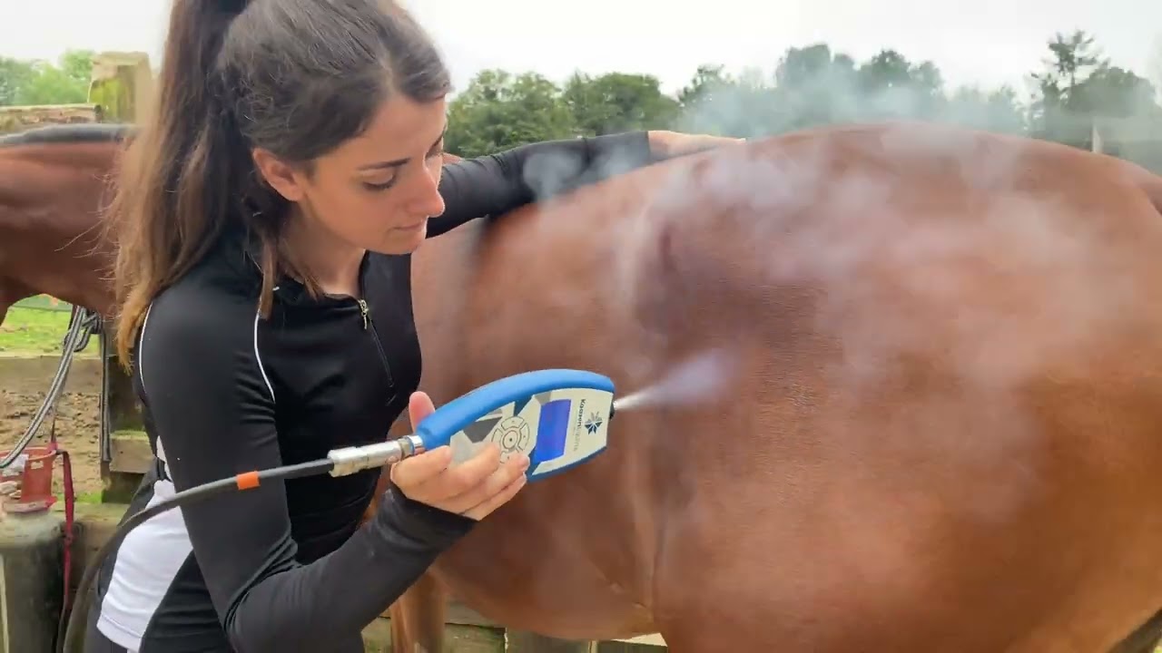 HOYS 2021   Cryotherapy with Alice Ross