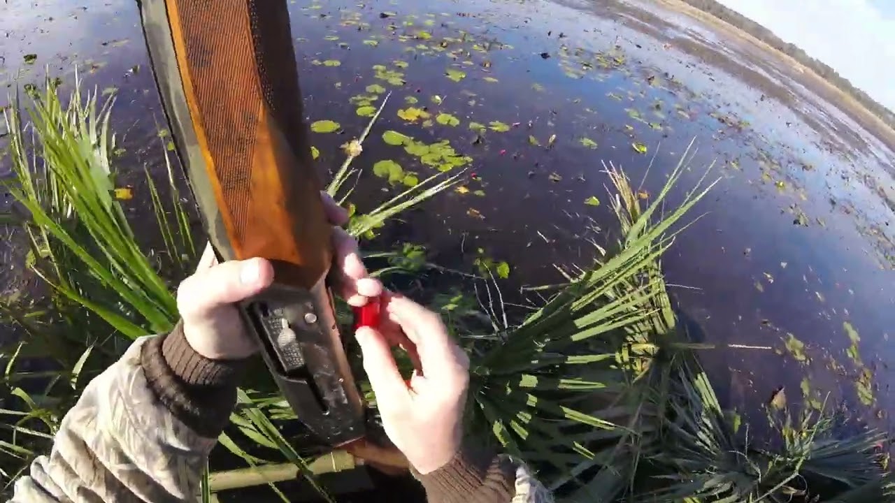 2025-2026 Florida Duck Season Highlight Video