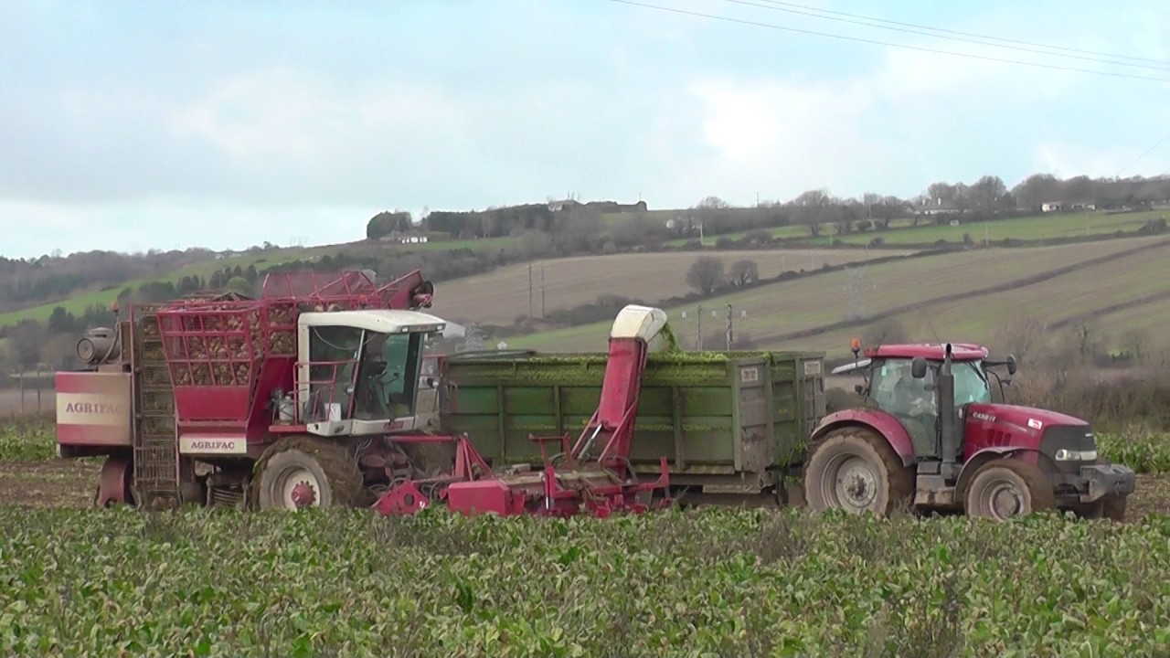 Agrifac WKM 9000 Self Propelled Beet Harvester
