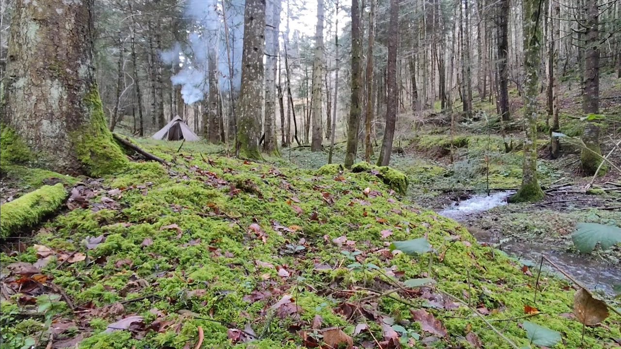 Bivouac d'hiver_ Test tipi Hidewalker & réchaud Pomoly_ TOP! 👍 #camping #hottent #nature #bushcraft