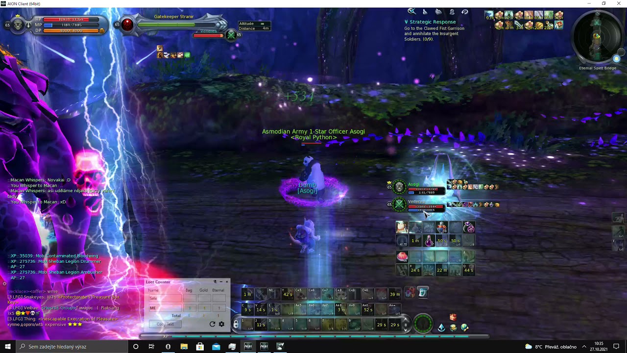 Aion 4.6 EuroAion - Sauro DUO - Cleric & Assassin full run