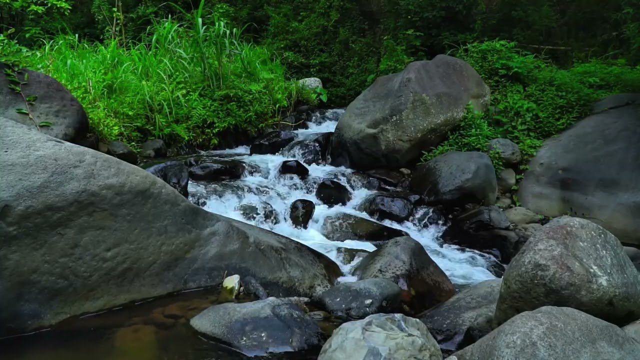 Flowing River Sounds for Studying and Focus | Natural Calm Water Sounds