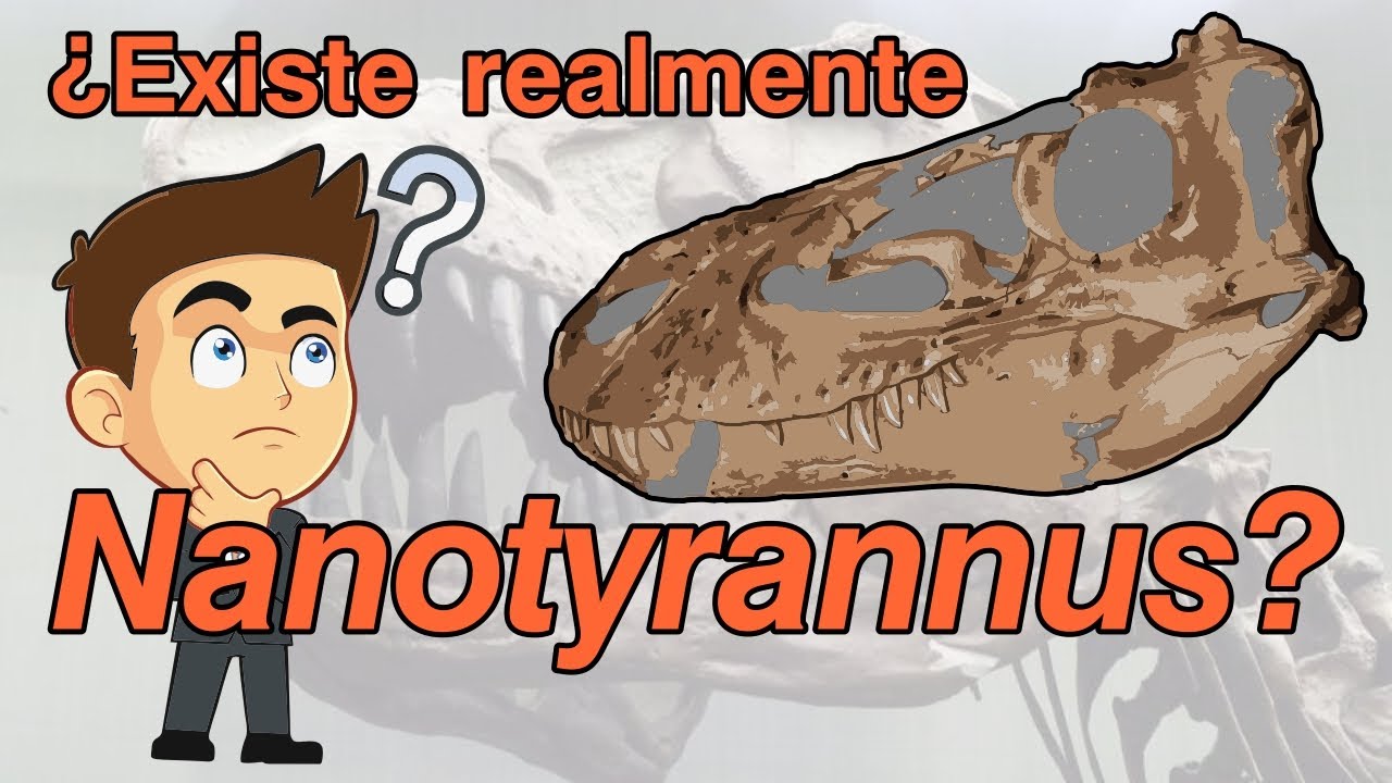 ¿Existe realmente Nanotyrannus? (Su historia y debate)