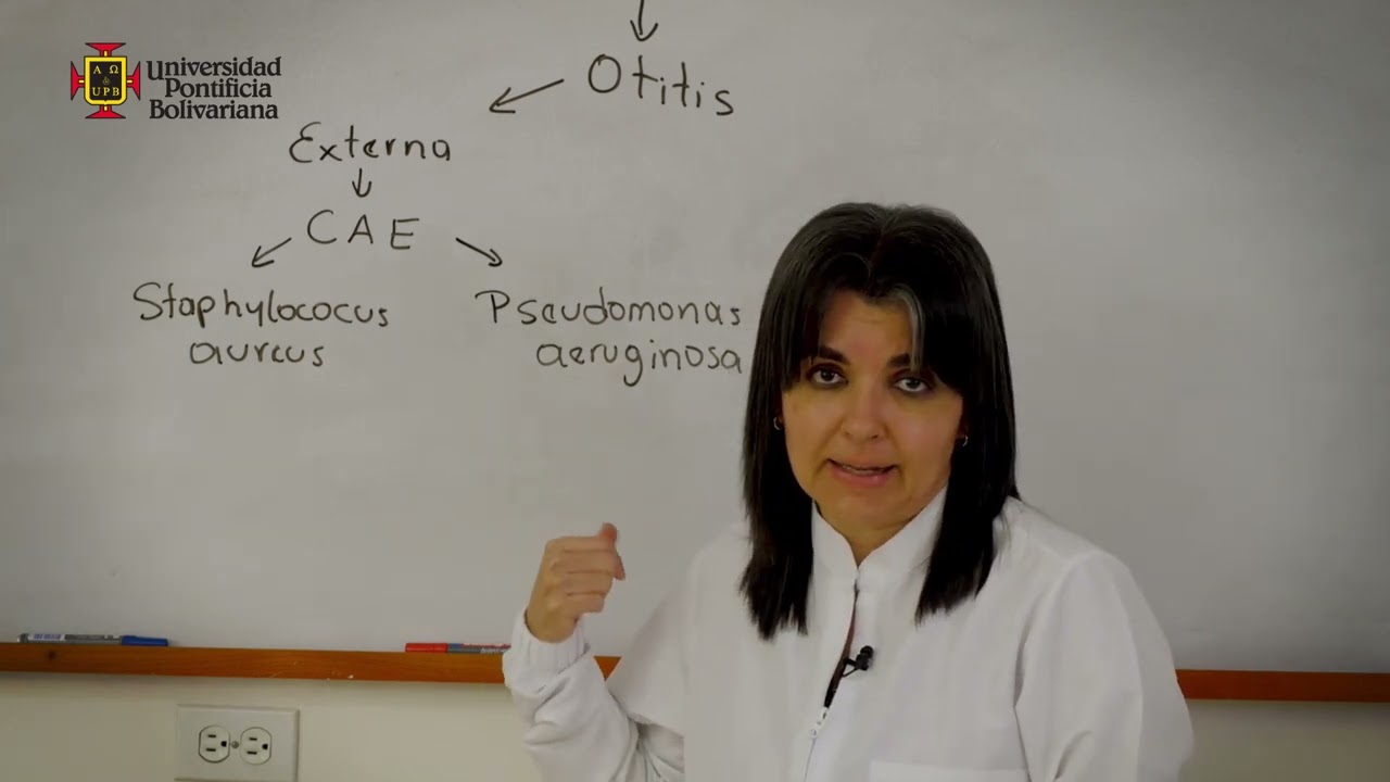 Infecciones Bacterianas del Tracto Respiratorio Superior
