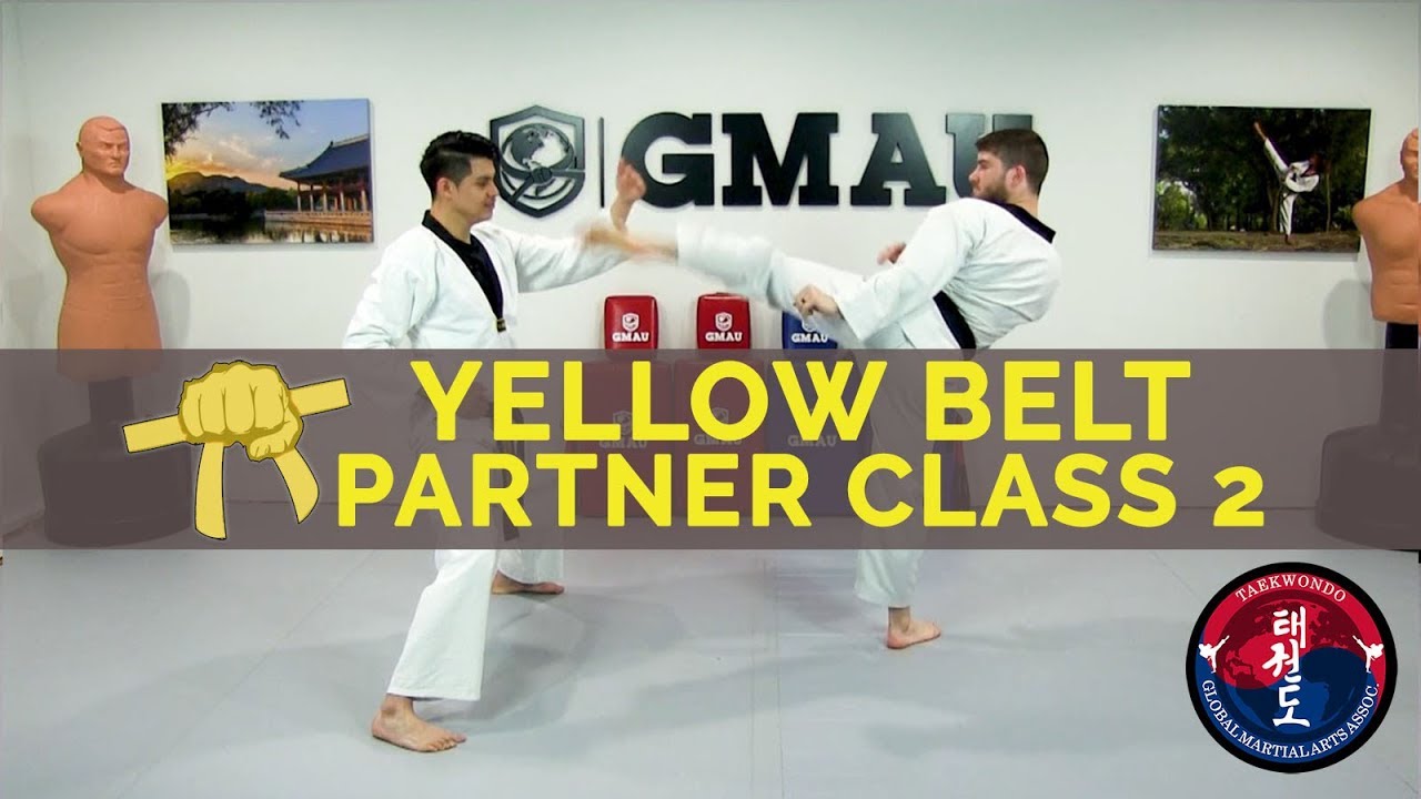 Taekwondo Follow Along Class - Yellow Belt - Partner Class #2