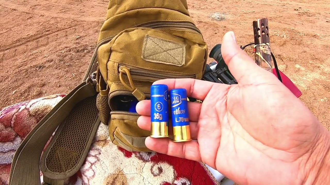 Fly or duck hunting.صيد الحذاف لا تنسه الاشتراك دعماً للقناة