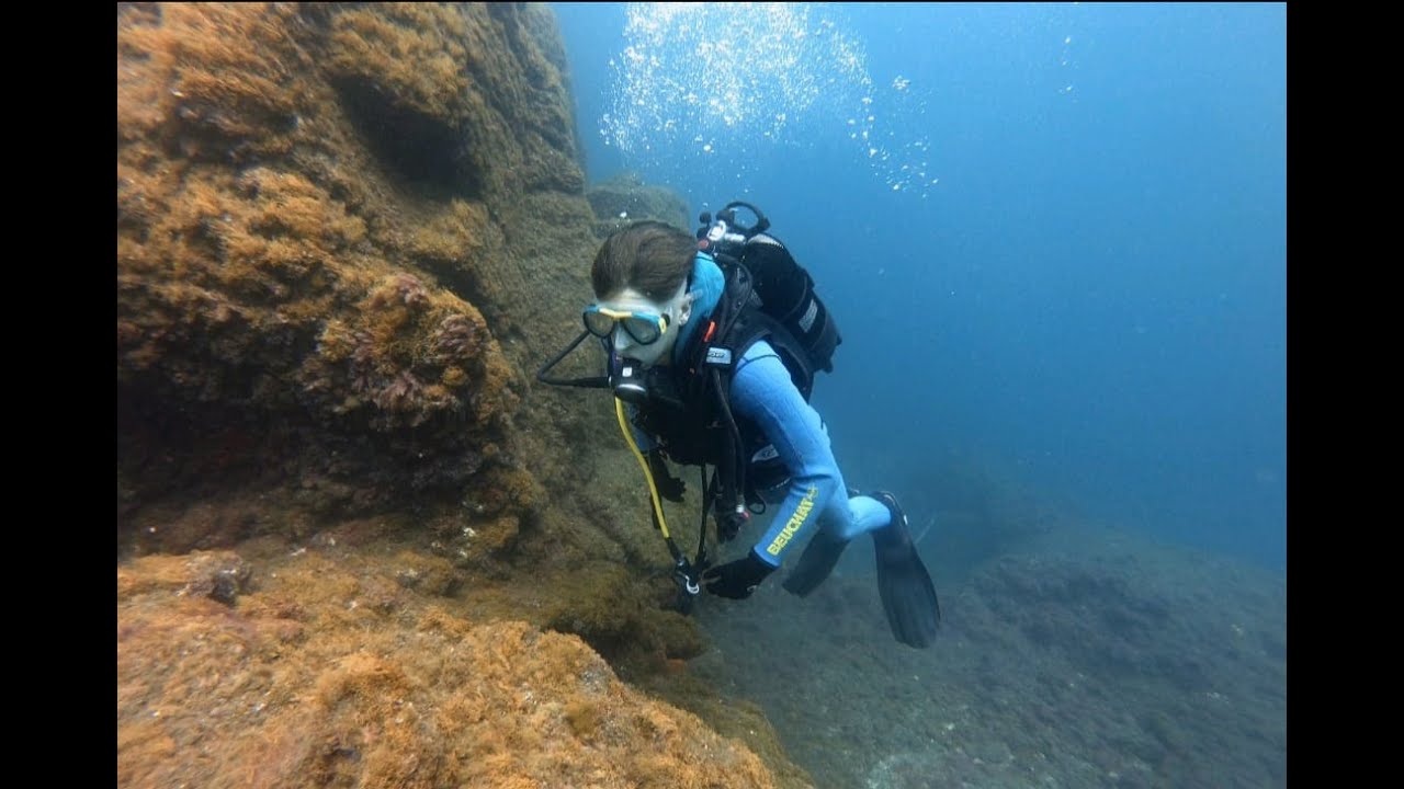 Tabaiba   Punta Prieta Marzo 2024
