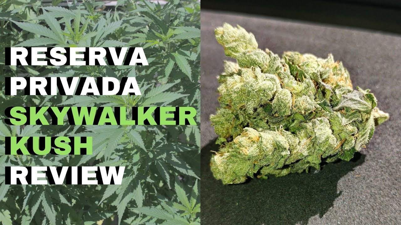 Skywalker Kush Strain Review - Reserva Privada | Cannabis Lifestyle TV