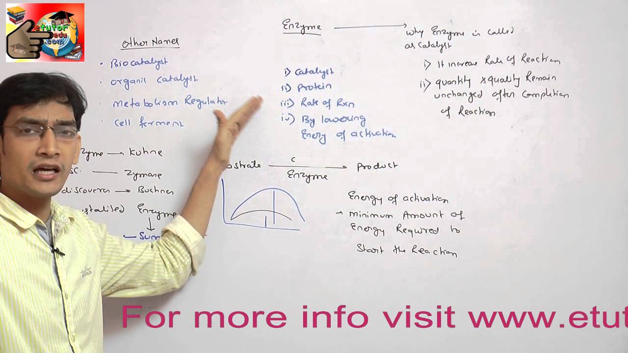 demo video lectures on enzymes for AIPMT,BHU,AIIMS,AFMC,WBJEE