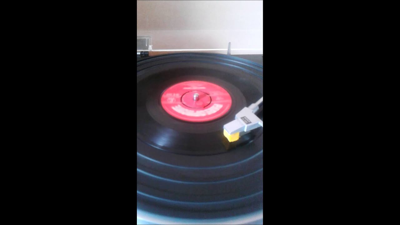 whistling rufus-jimmy stand.