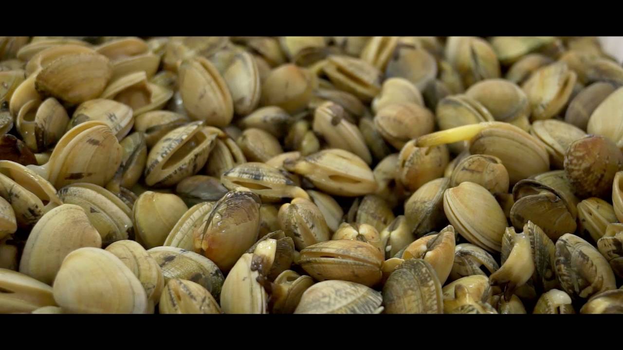 Hecho a mano II- Almejas de Carril-Documental de los parquistas de Carril
