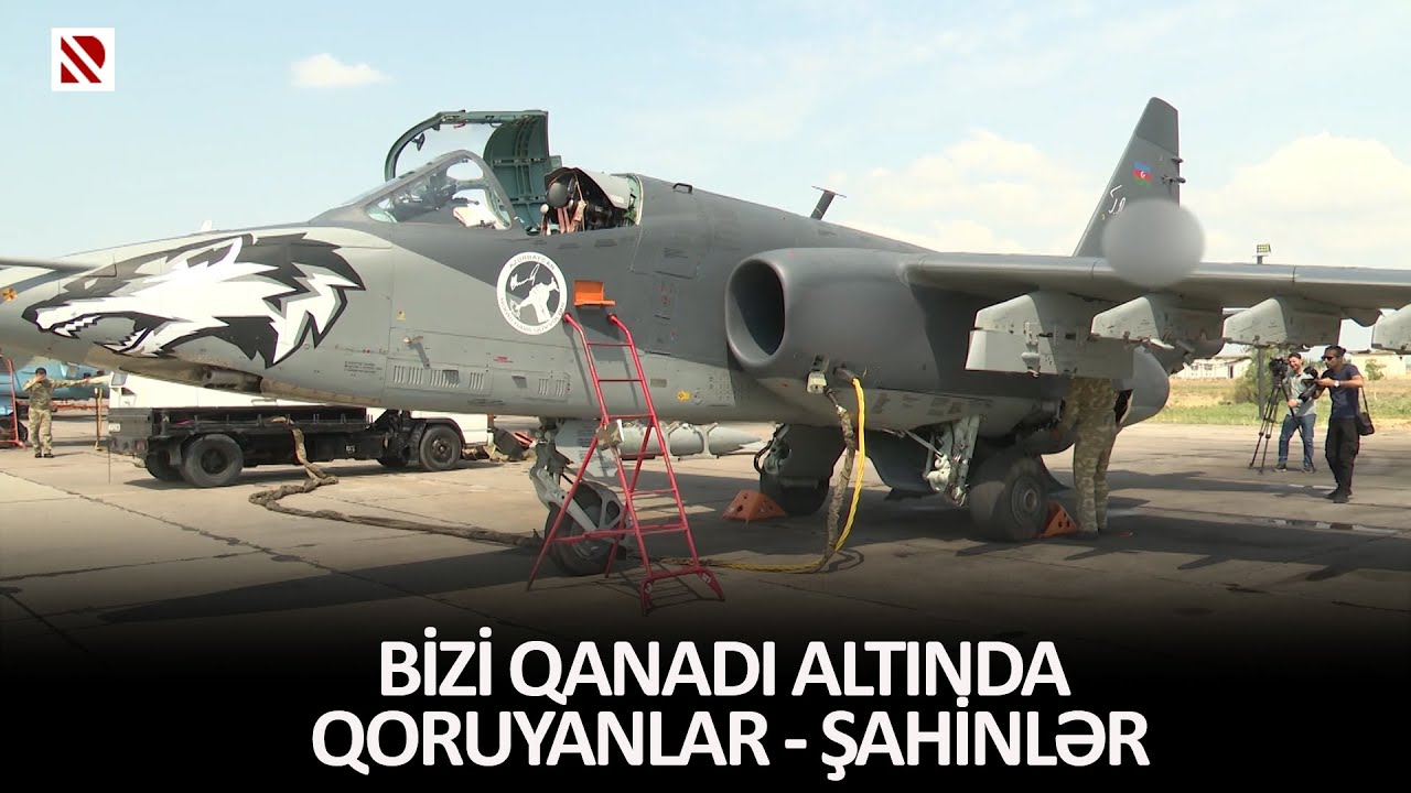 Bizi qanadı altında qoruyanlar - Şahinlər