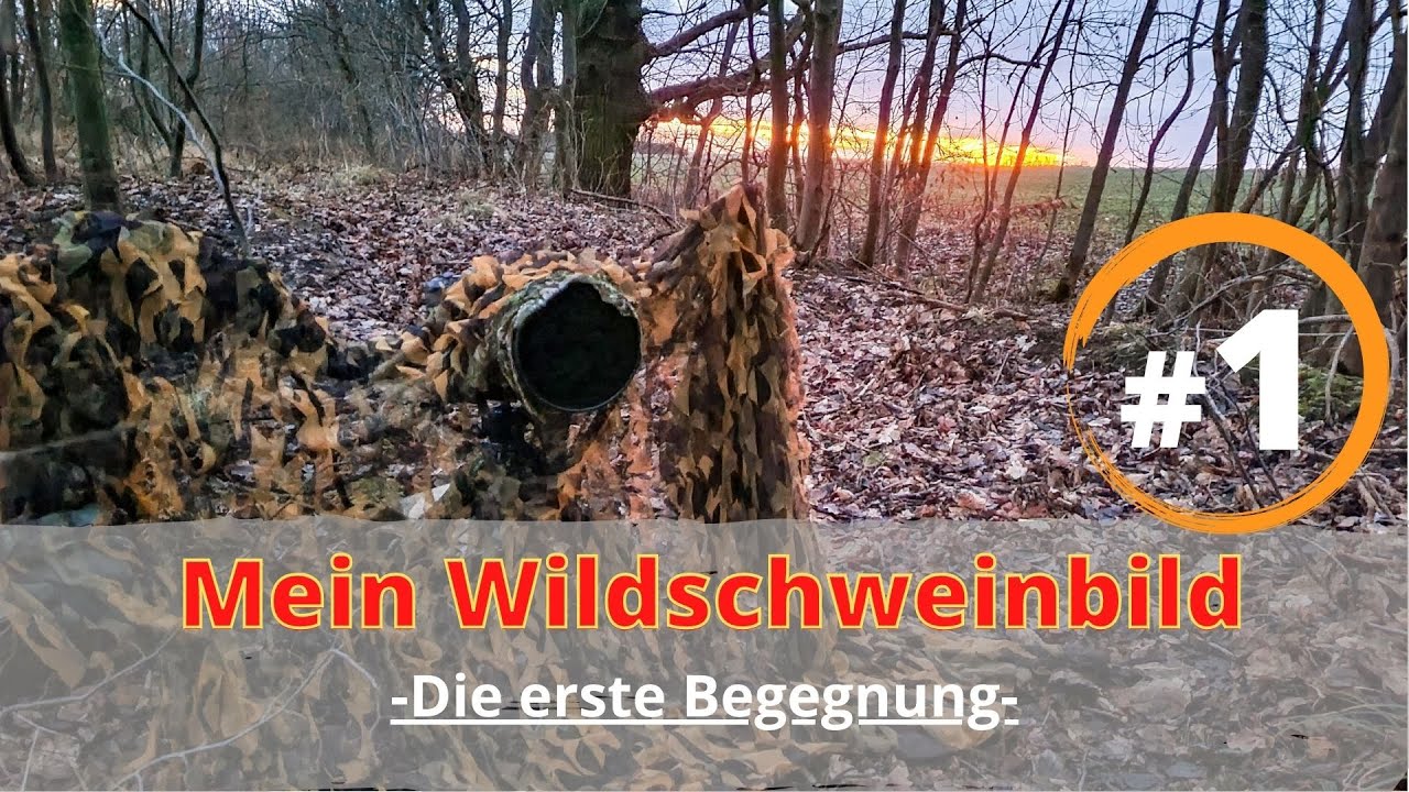 Mein Wildschweinbild #1 -Die erste Begegnung-