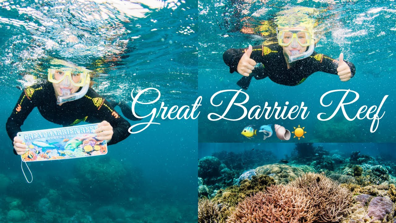 SNORKELLING ON THE GREAT BARRIER REEF!! 🐠 | CAIRNS, AUSTRALIA TRAVEL VLOG