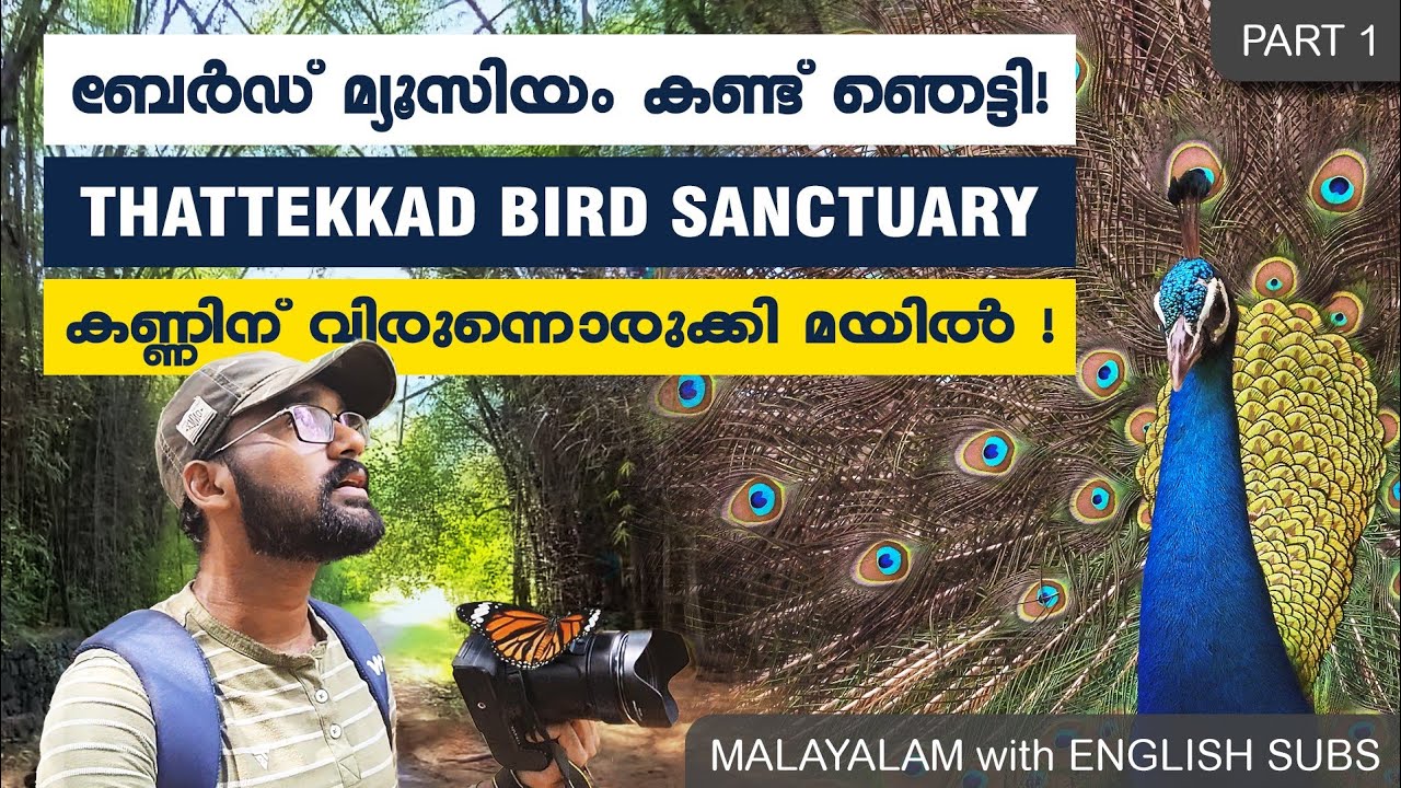 Thattekkad Bird Sanctuary | Museum | Butterfly Park | Salim Ali | Malayalam | Vlogoskie e6p1 | Viral