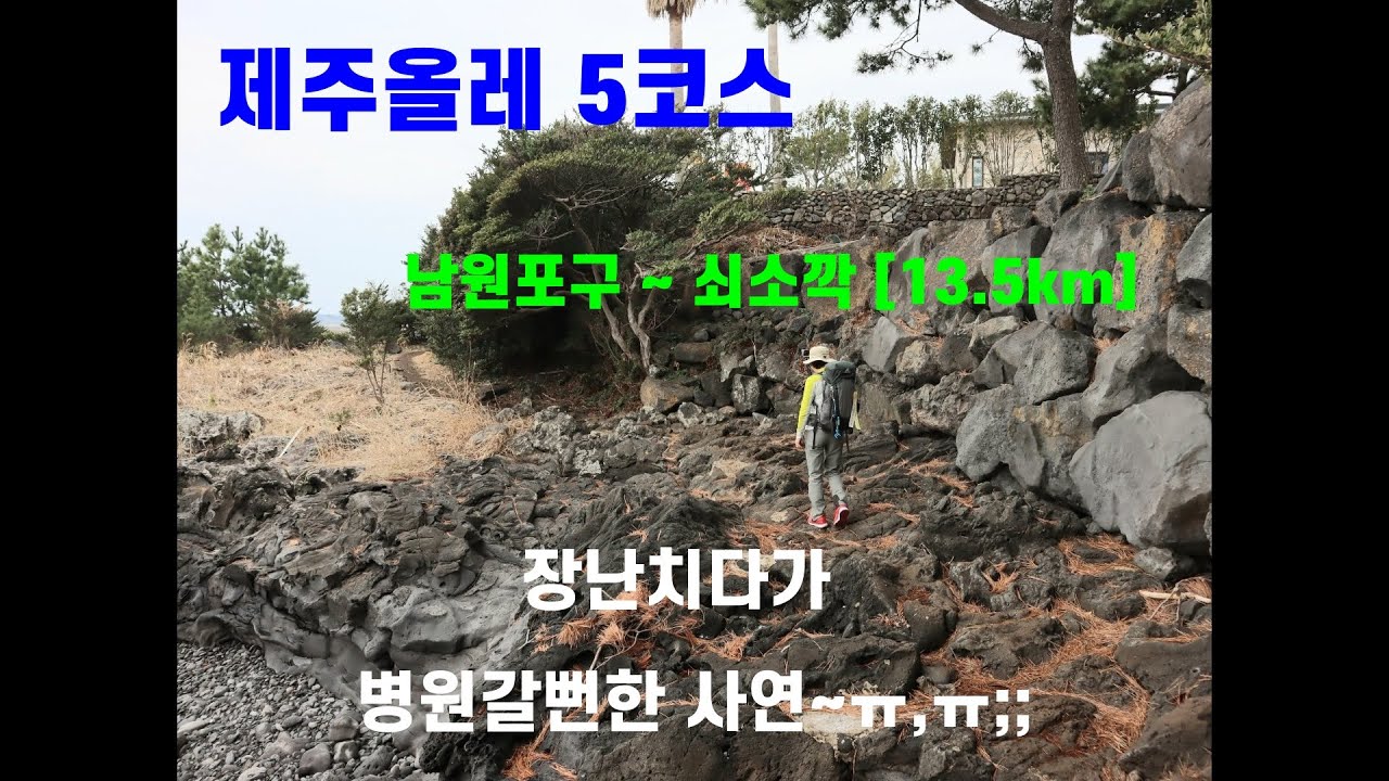 제주올레5코스 남원포구🏝 /큰엉/위미동백나무- 🌺 /넙빌레/망장포/쇠소깍  총 13.4km