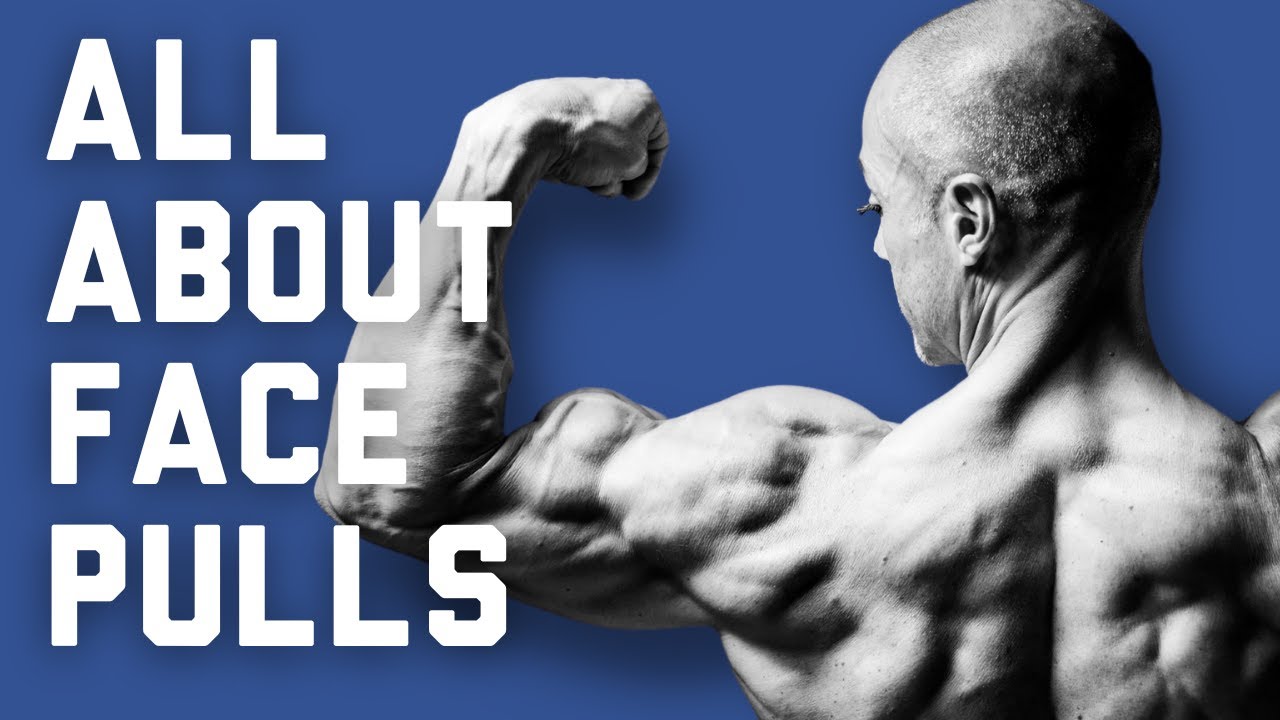 HOW TO PERFORM FACE PULLS //  Exercise Tutorial from The 3DMJ Lifting Library