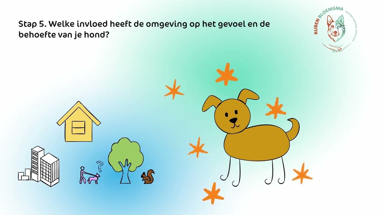 Waarom is het checken van de omgeving belangrijk om je hond beter te begrijpen?