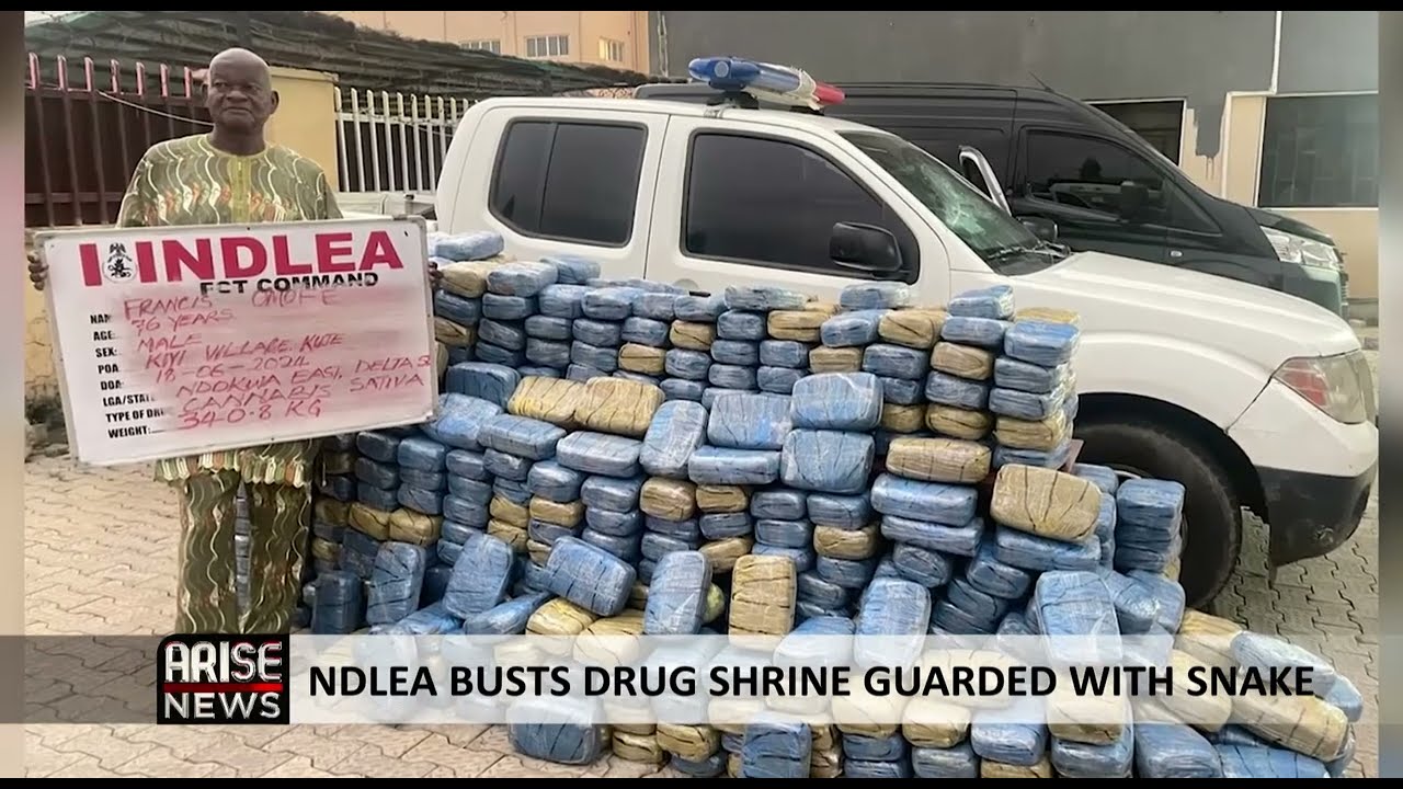 NDLEA BUSTS DRUG SHRINE GUARDED WITH SNAKE
