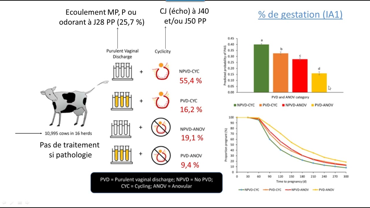 EFFETS DES ENDOMETRITES ET DE L'ANOESTRUS SUR LES PERFORMANCES DE REPRODUCTION