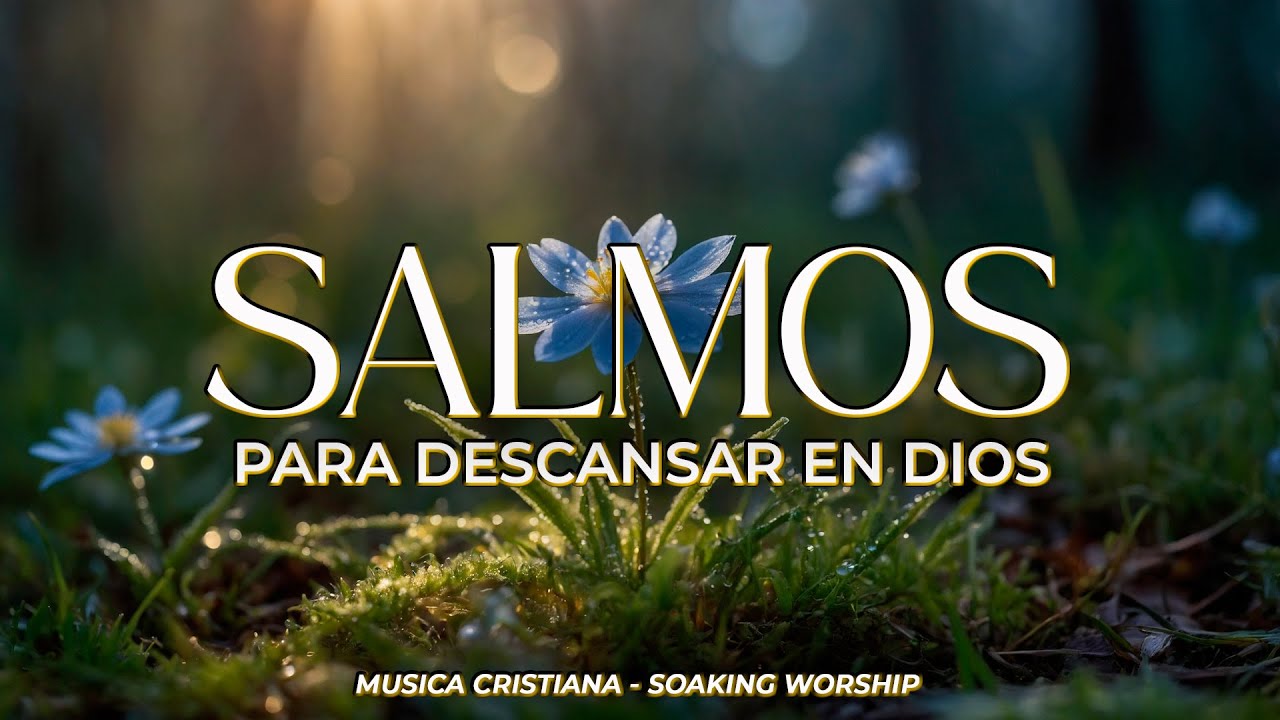 SALMOS CANTADOS 🙏 | Para Sanar el Alma y Descansar en Dios 🤍 | Oración Íntima con la Palabra