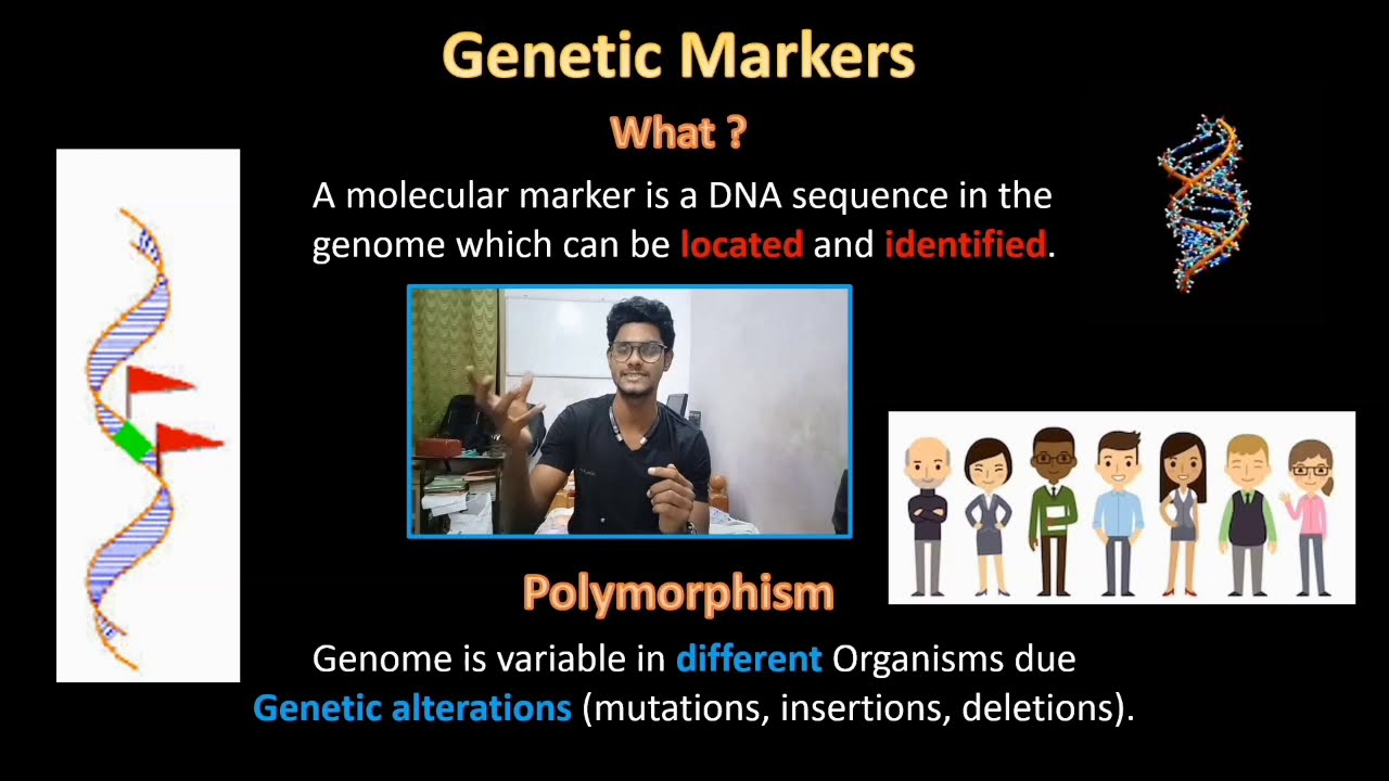 RFLP & RAPD | Genetic Markers | Principle | Procedure | Application | Tamil | Biology | ThiNK VISION