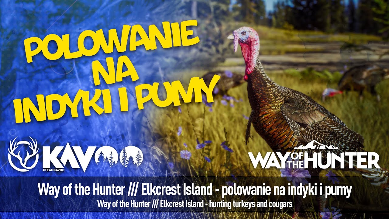 🔴LIVE🔴 Way of the Hunter /// Polowanie na indyki i pumy