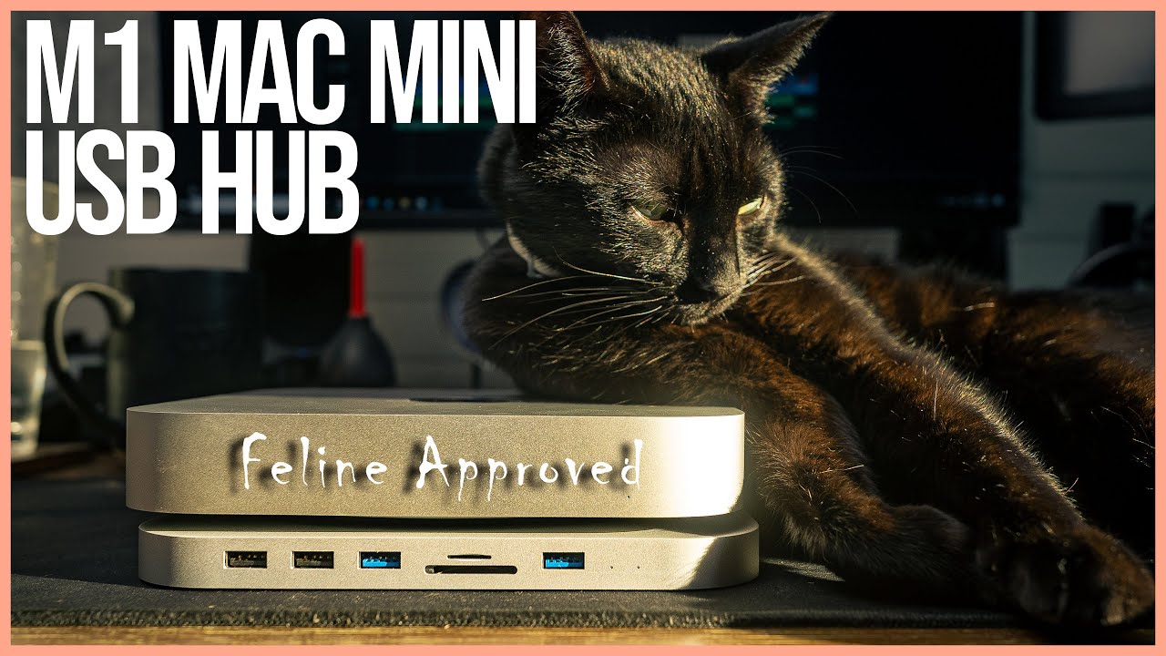 Best Budget USB Hub Dock for M1 Mac Mini?