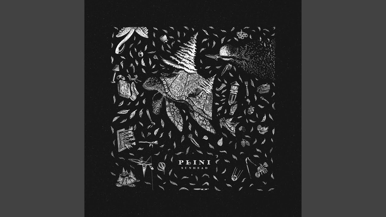 Flâneur (feat. Anomalie)