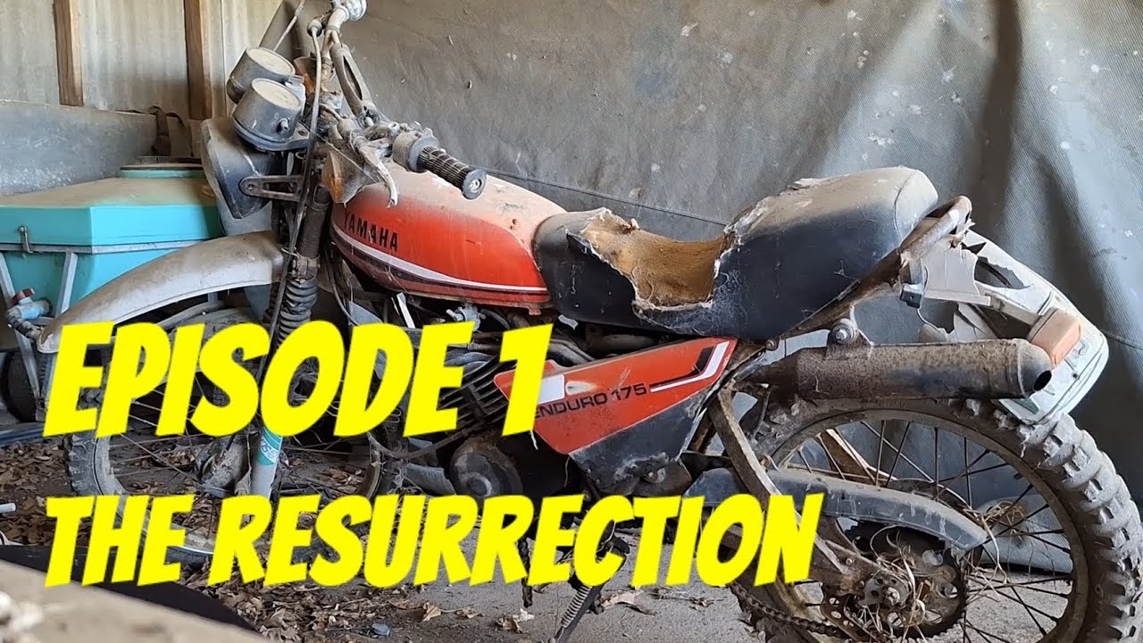1981 DT175 Restoration - Episode 1, The Resurrection