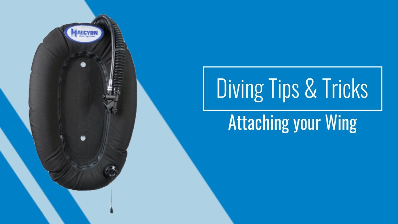 Diving Tips & Tricks - Attaching your Wing