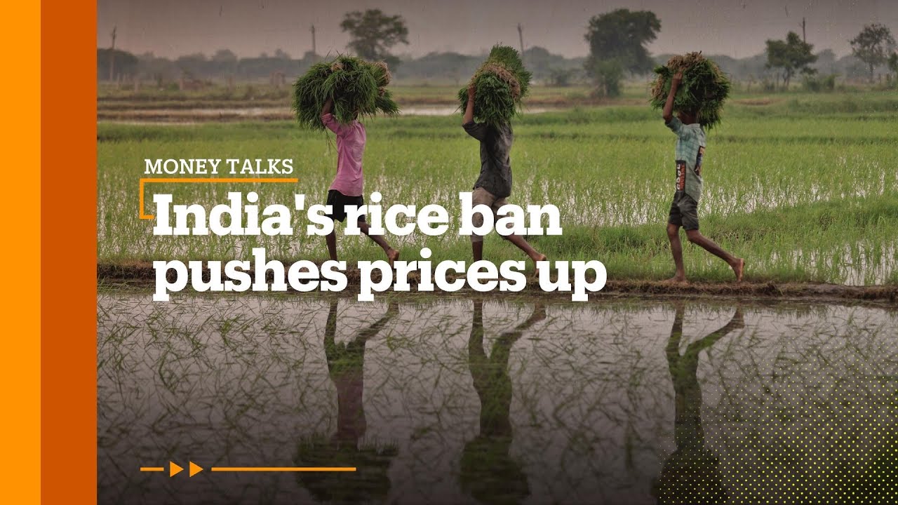 India's rice ban to trigger global food crisis