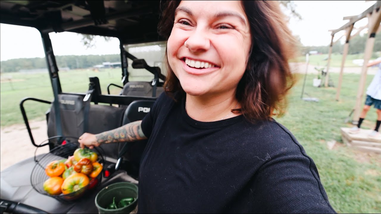 Harvesting Salsa from the Garden | VLOG