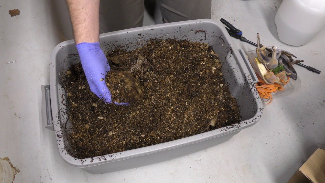 Hardwood Pellets as bedding update (12/3/2018)
