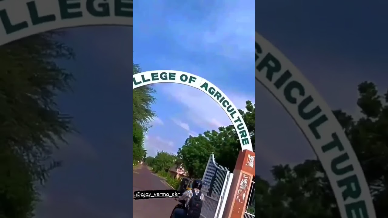 college of agriculture Bikaner #skrau #agriculturalcollege #agricultureuniversity