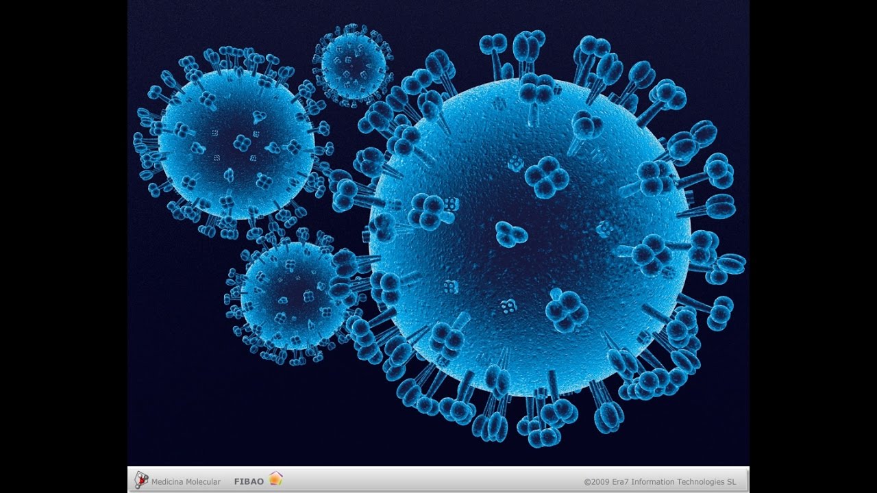 #microBIOscope La vacuna de la gripe