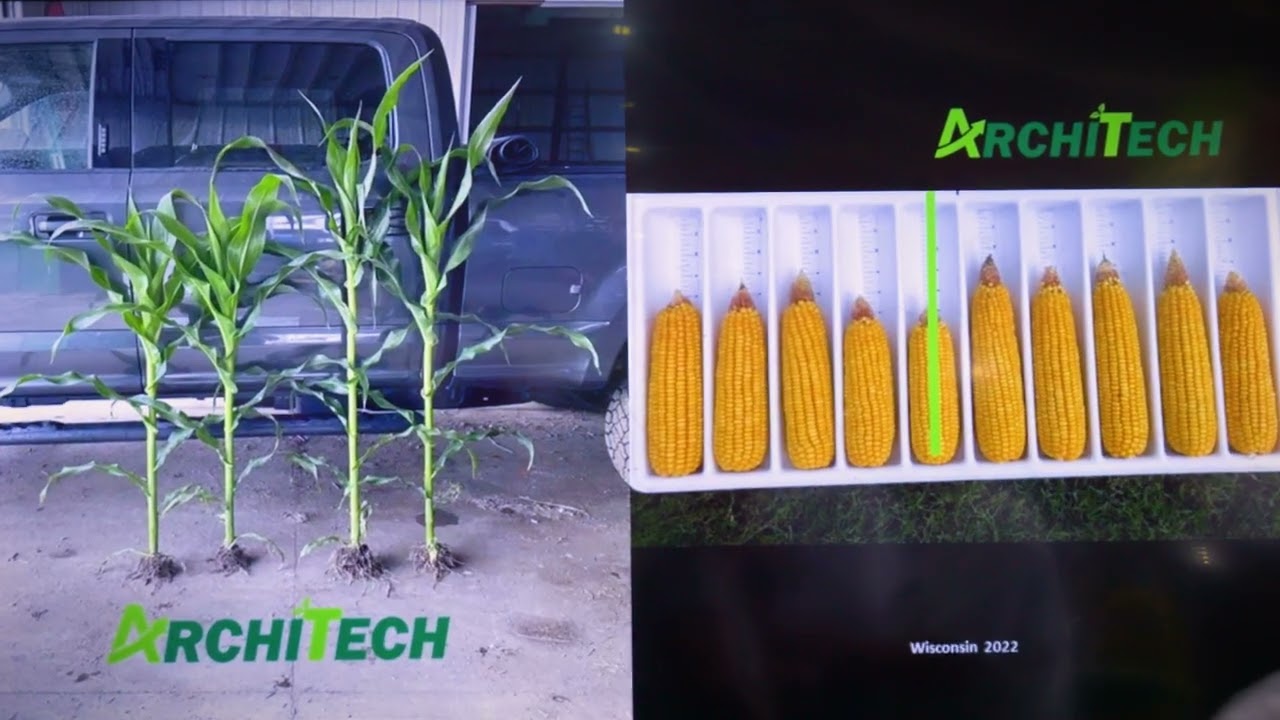 Preview of Top Crop's Corey Atley on AgXplore's ArchiTech "Get it on every acre"