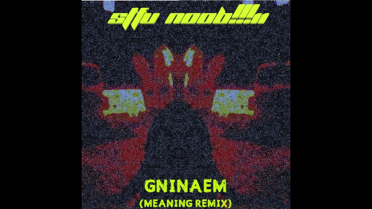 STFU n00b!!!11 GNINAEM Meaning Remix
