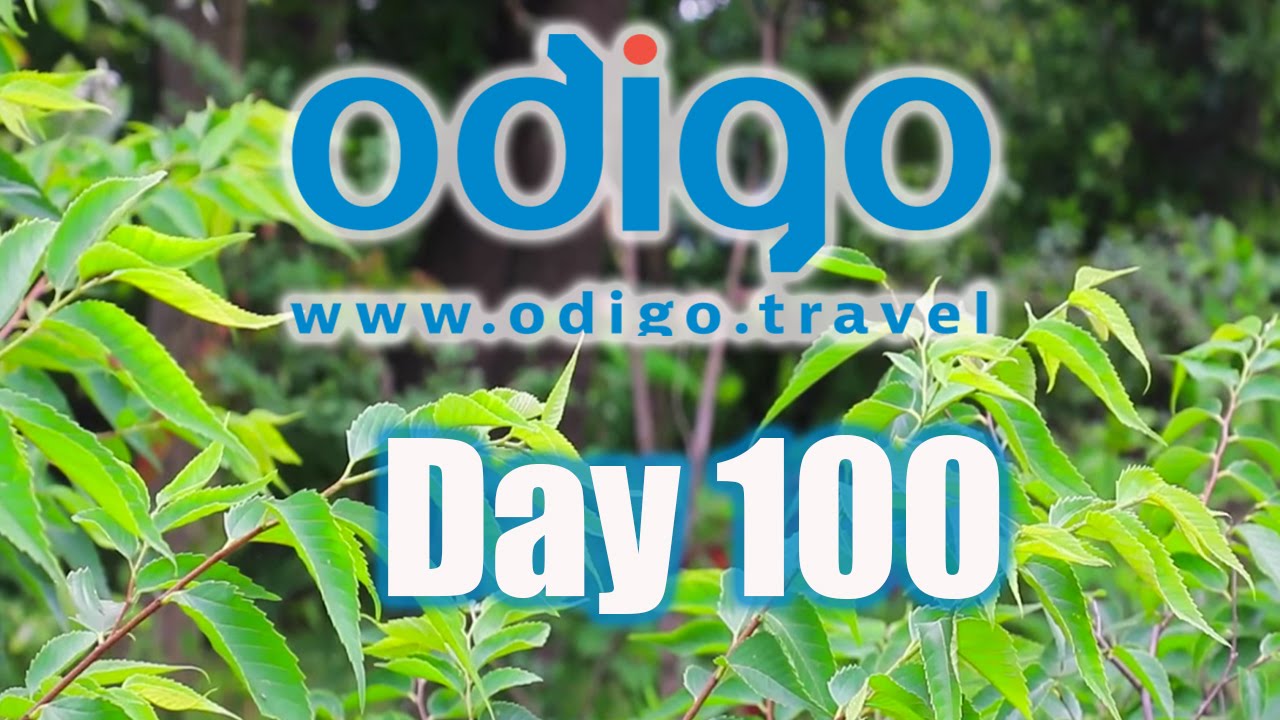 Saitama Vlog: Totoro's Forest & Home [Ft. OkanoTV, MillieFreckles & Shizuka Anderson]