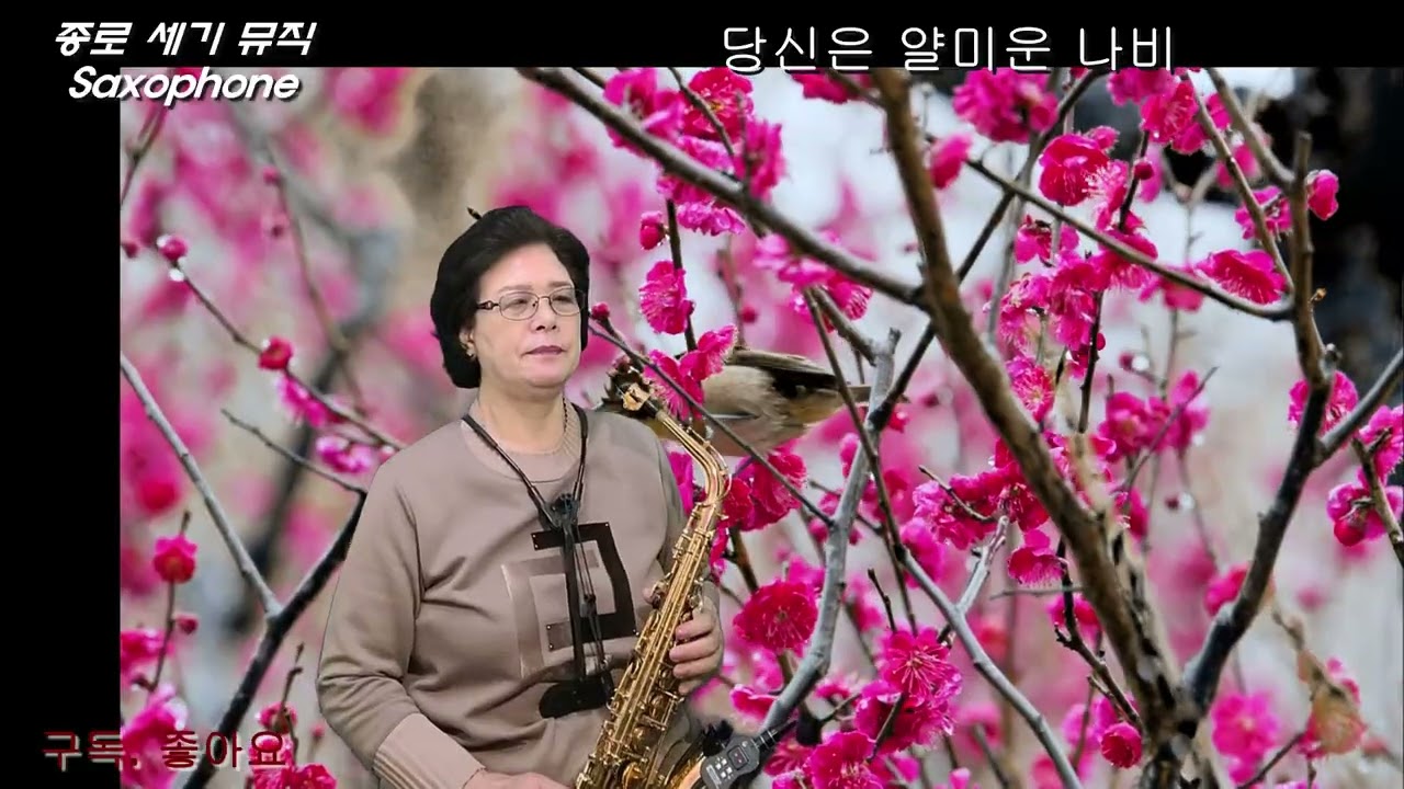 당신은 얄미운 나비  -  김연자   -   (Alto) 색소폰연주    나춘자