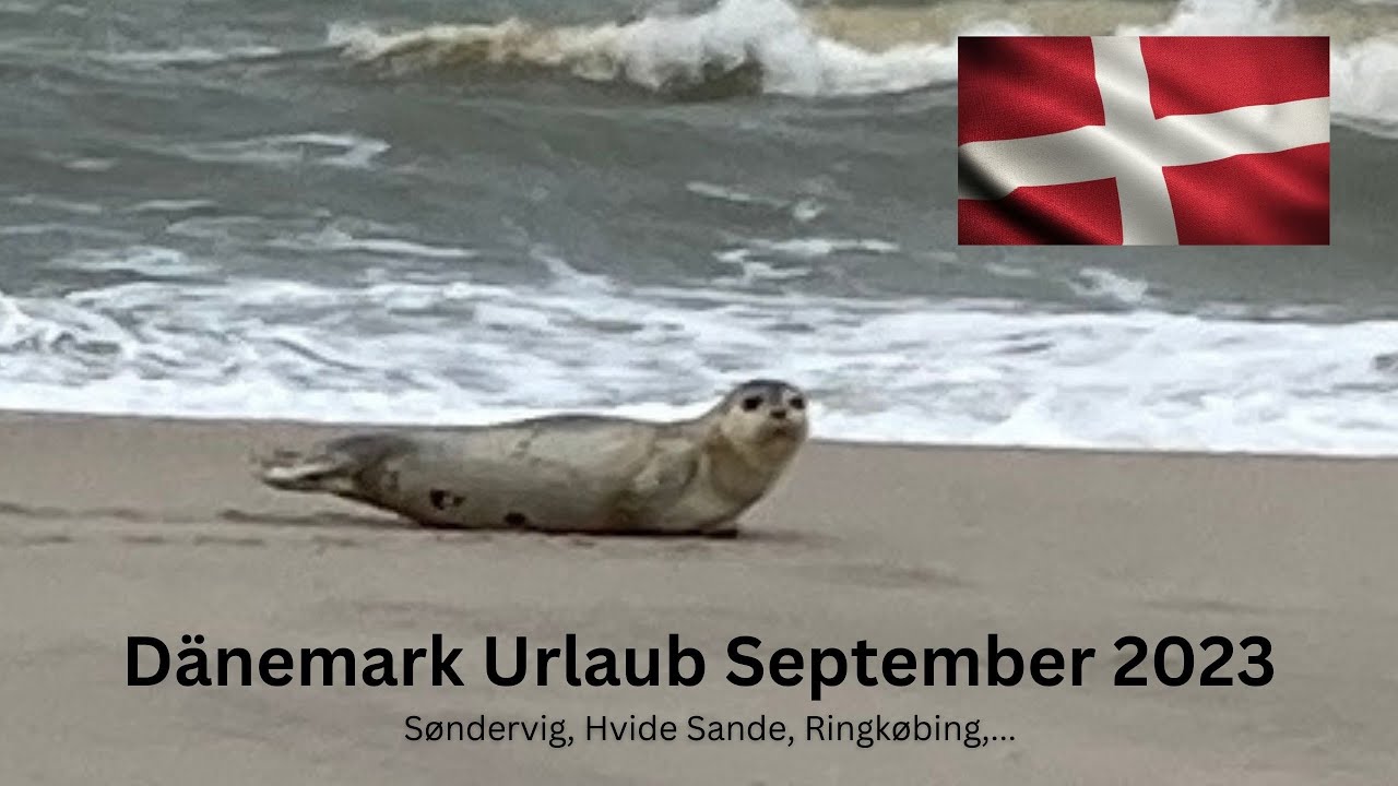 Dänemark Urlaubsimpressionen * Hvide Sande * Ringkøbing * Søndervig * Thorsminde #danemark