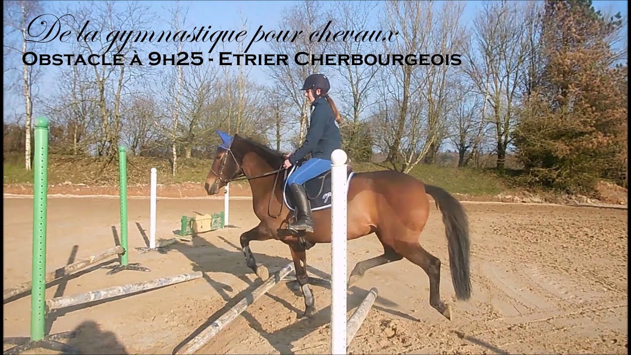 DE LA GYM POUR CHEVAUX - Obstacle à 9h25 - Etrier Cherbourgeois