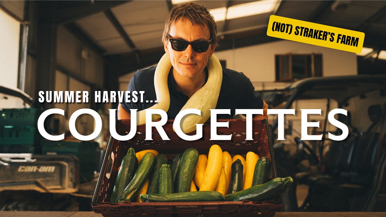 This humble vegetable deserves more love! | July at @Daylesford Organic
